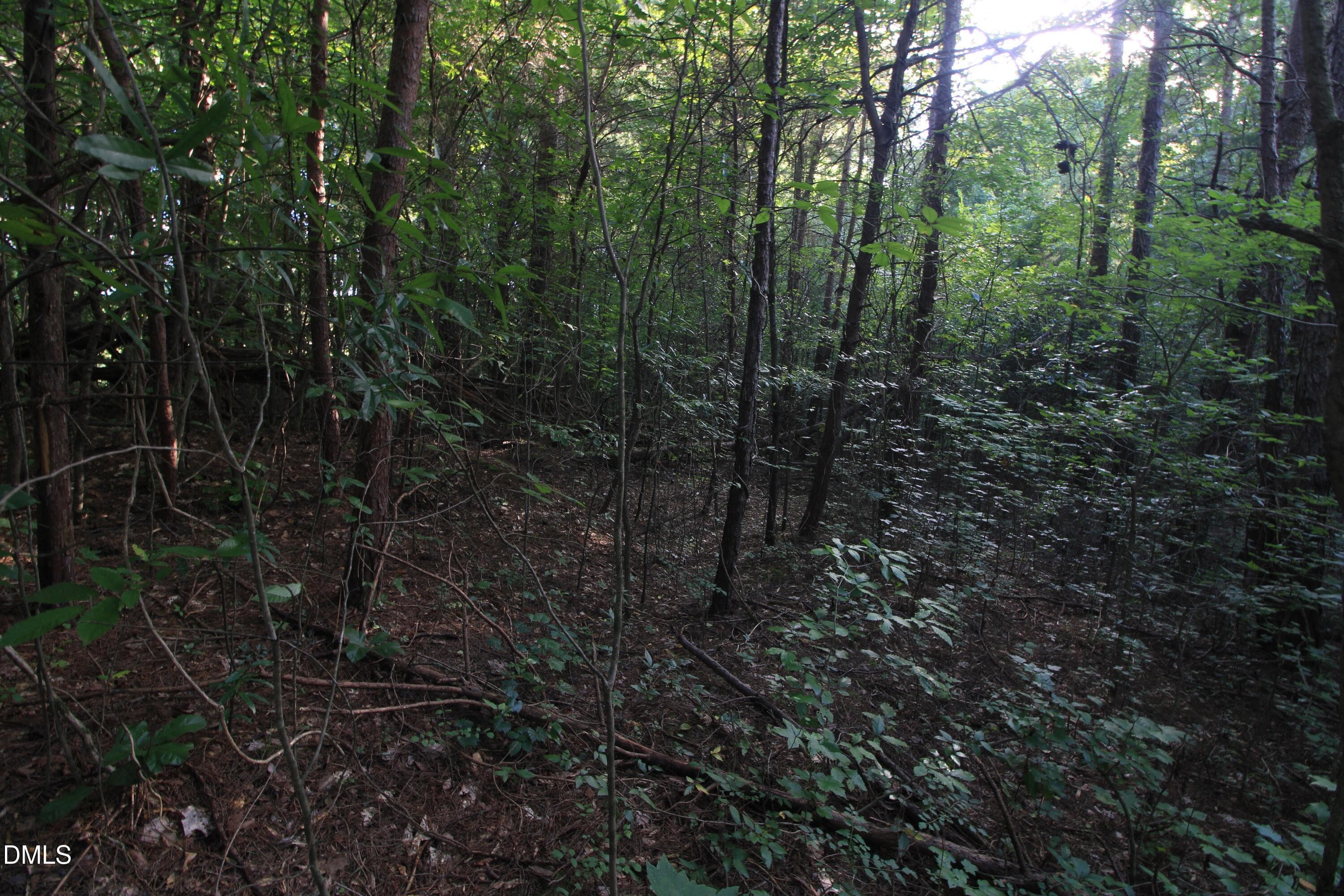 Ground Interior Detail 1 - 211 Moore Trail, Mocksville, NC 27028