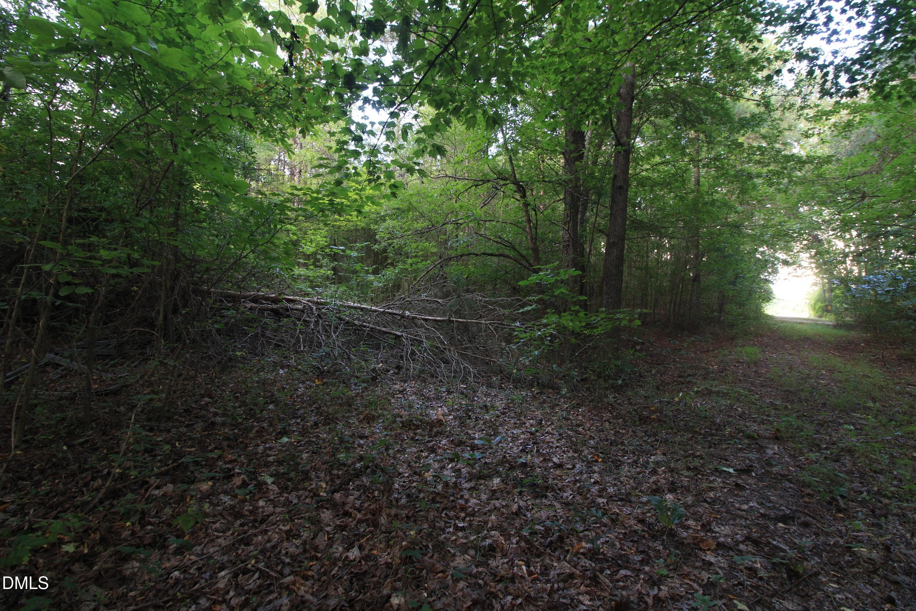Ground Trail Access from Red Fern 1 - 211 Moore Trail, Mocksville, NC 27028