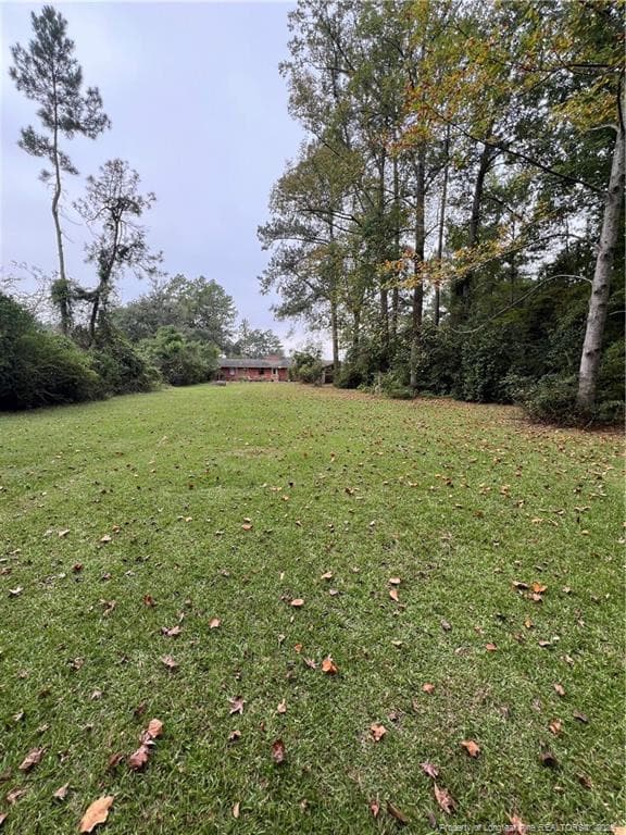Photo 40 - 1405 Lakeview Road, Fairmont, NC 28340, Fairmont