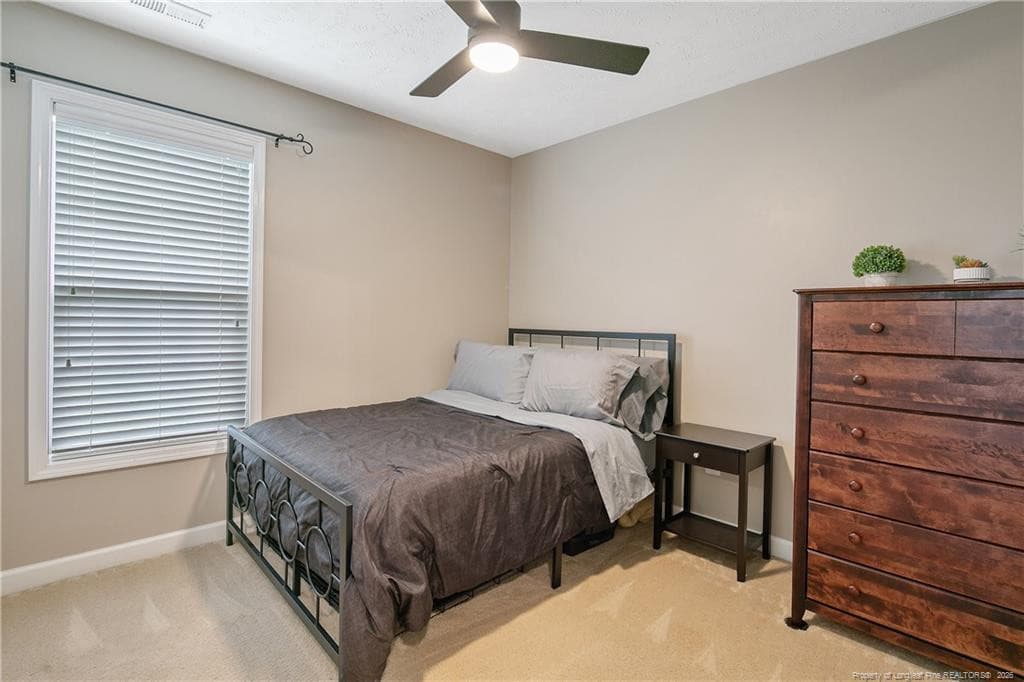 Photo 38 - 158 Chamberlin Road, Raeford, NC 28376