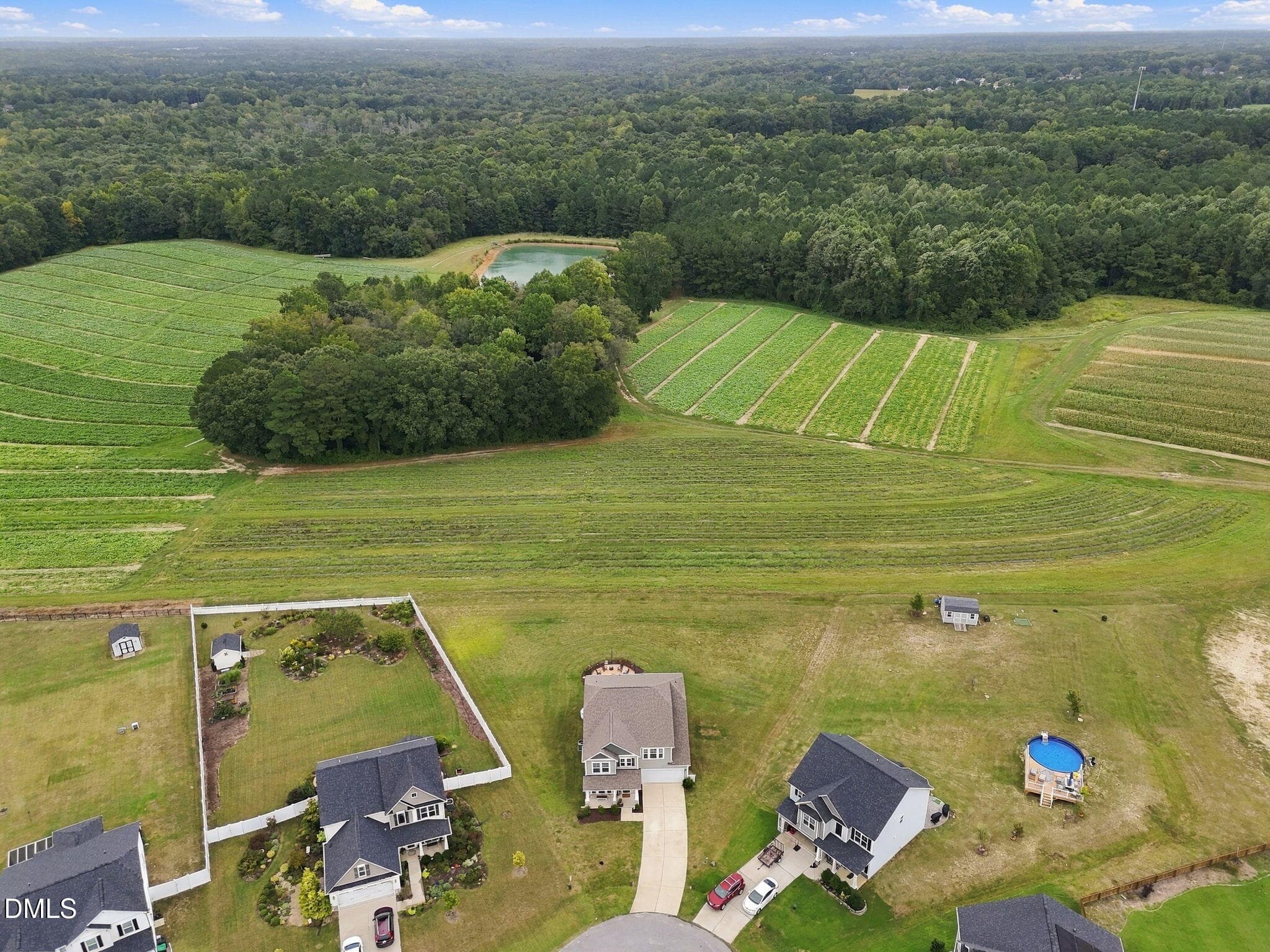 Aerial - 79 Pleasant Grove Court, Willow Springs, NC 27592, Willow Springs