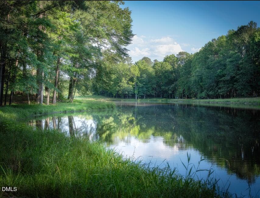 Lake - 217 Night Lantern Lane, Wendell, NC 27591