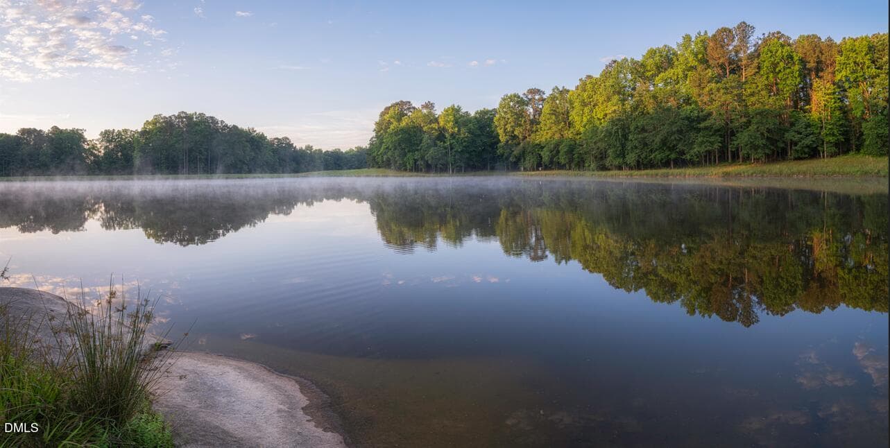 Landscape Photo 6 - 265 Night Lantern Lane, Wendell, NC 27591