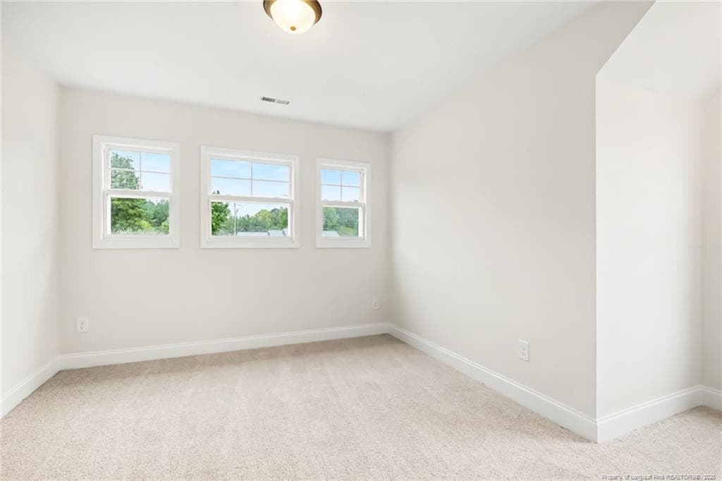 Natural light - 760 Brown Road, Lillington, NC 27546
