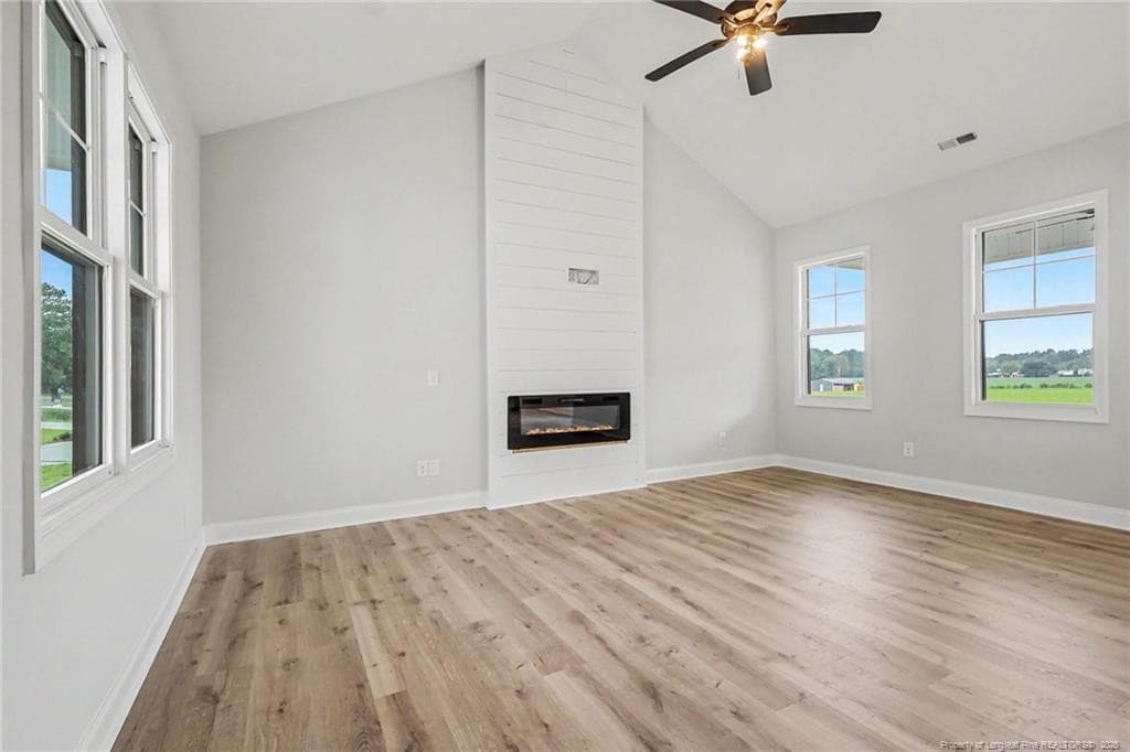electric fireplace - 700 Brown Road, Lillington, NC 28328