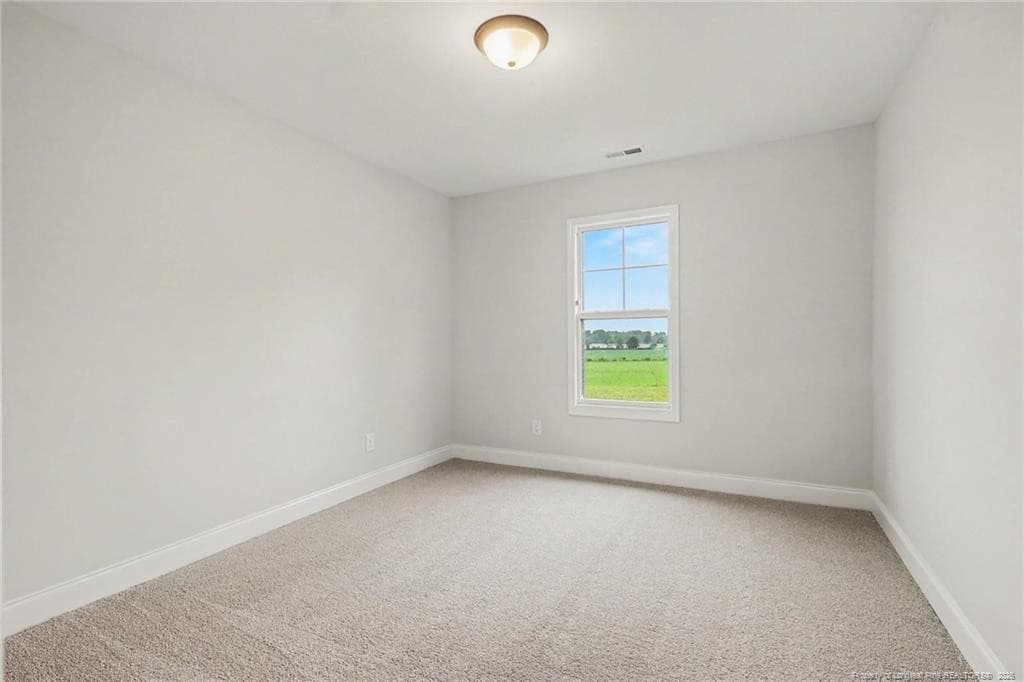 natural light in owner's suite - 700 Brown Road, Lillington, NC 28328
