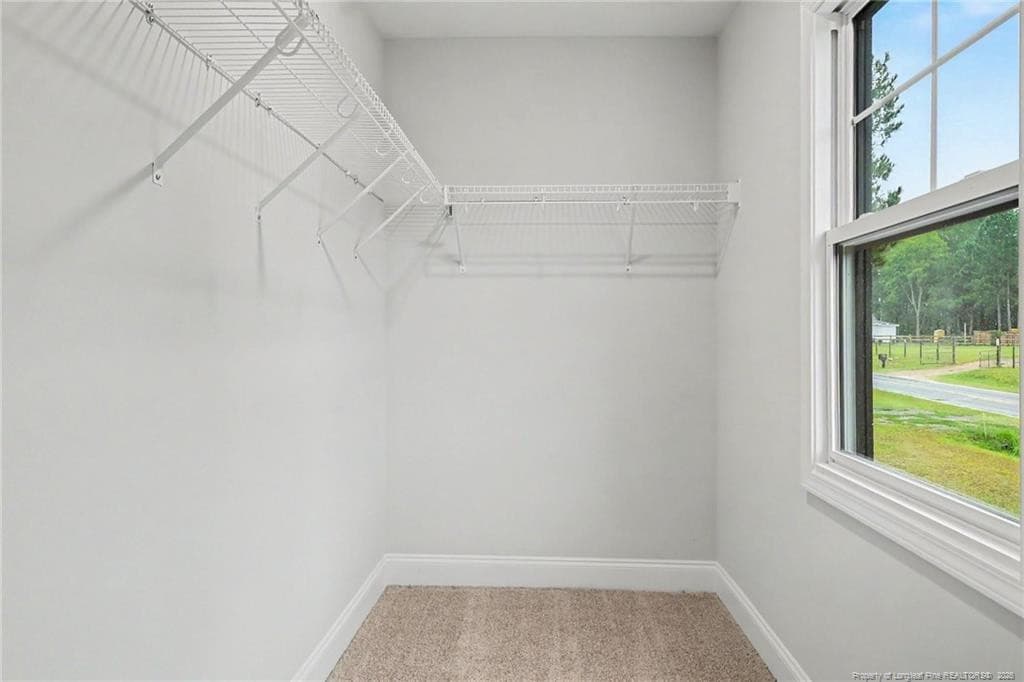 plenty of closet space - 700 Brown Road, Lillington, NC 28328