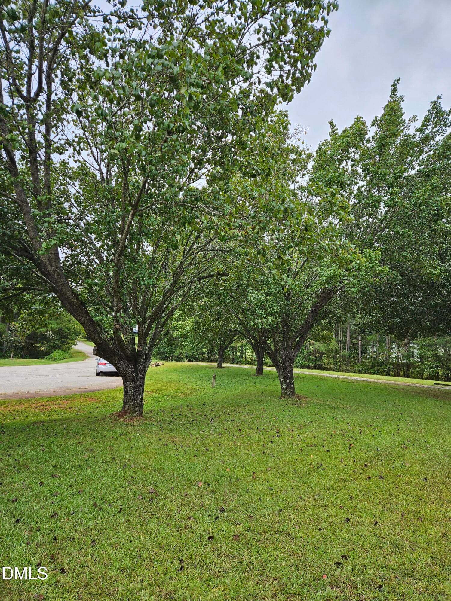 Front Yard 2 - 115 Eagle Lane, Middlesex, NC 27557, Middlesex