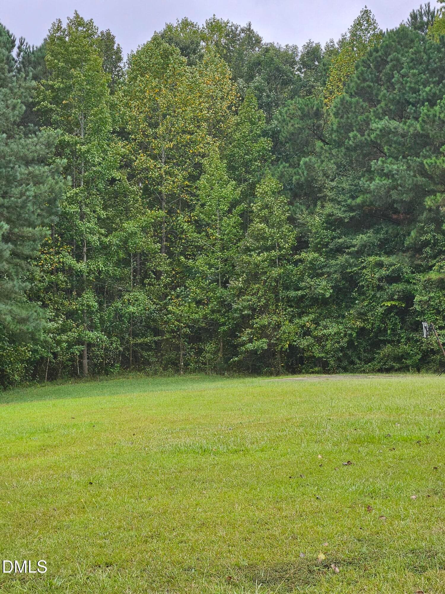 Side Yard 2 - 115 Eagle Lane, Middlesex, NC 27557, Middlesex