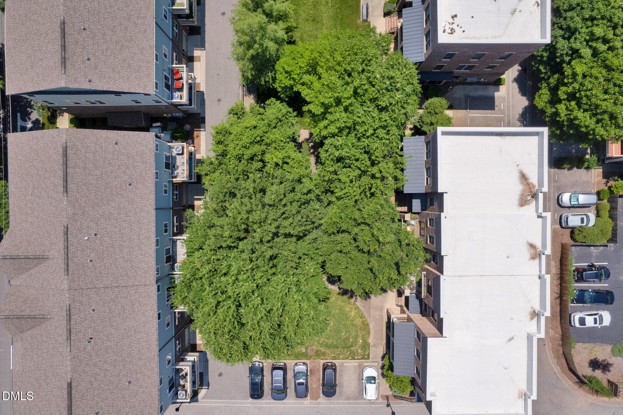 DJI_0010 - 501 N Person Street 105, Raleigh, NC 27604