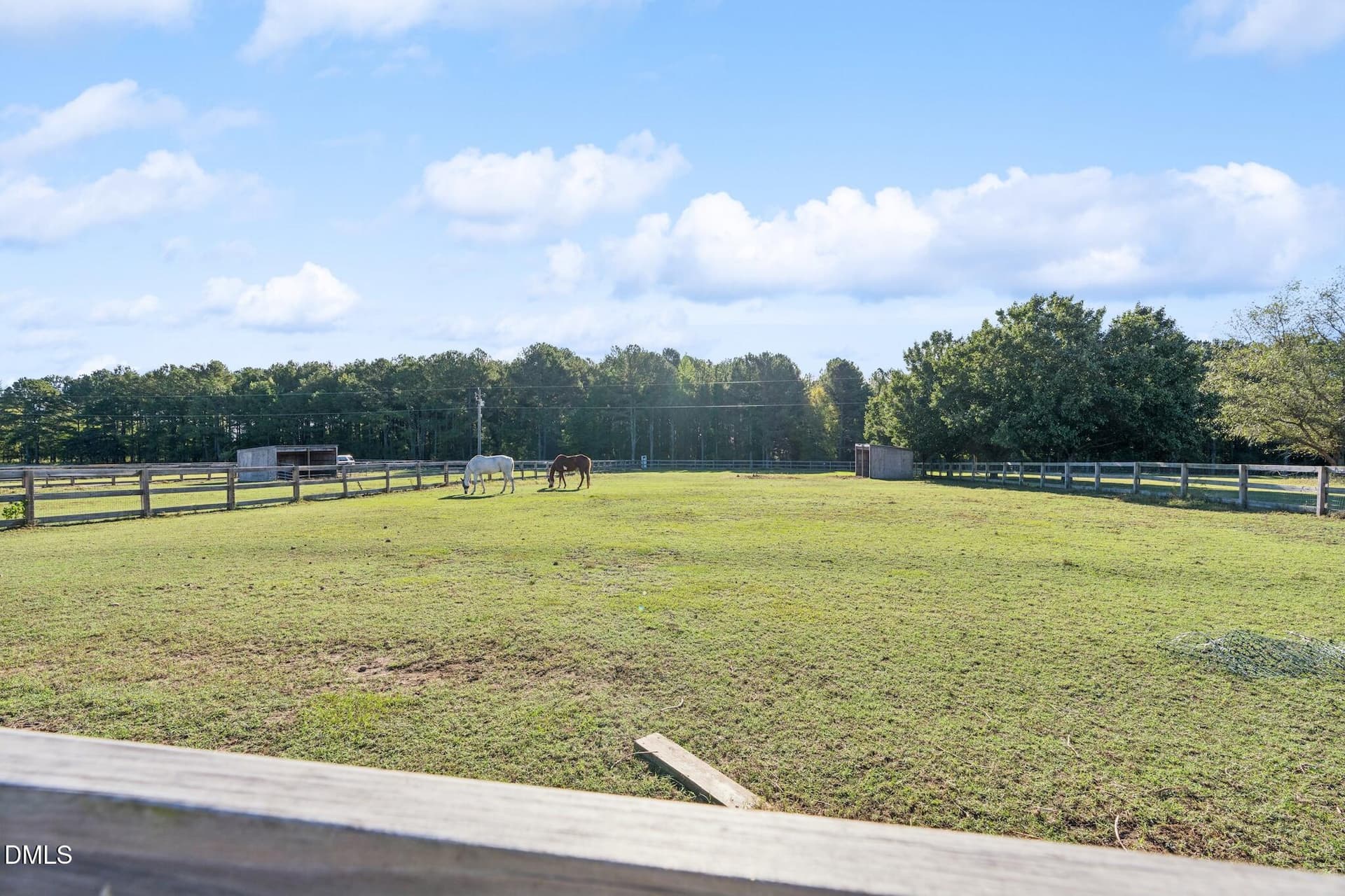 DSC09714 - 3971 River Road, Fuquay Varina, NC 27526
