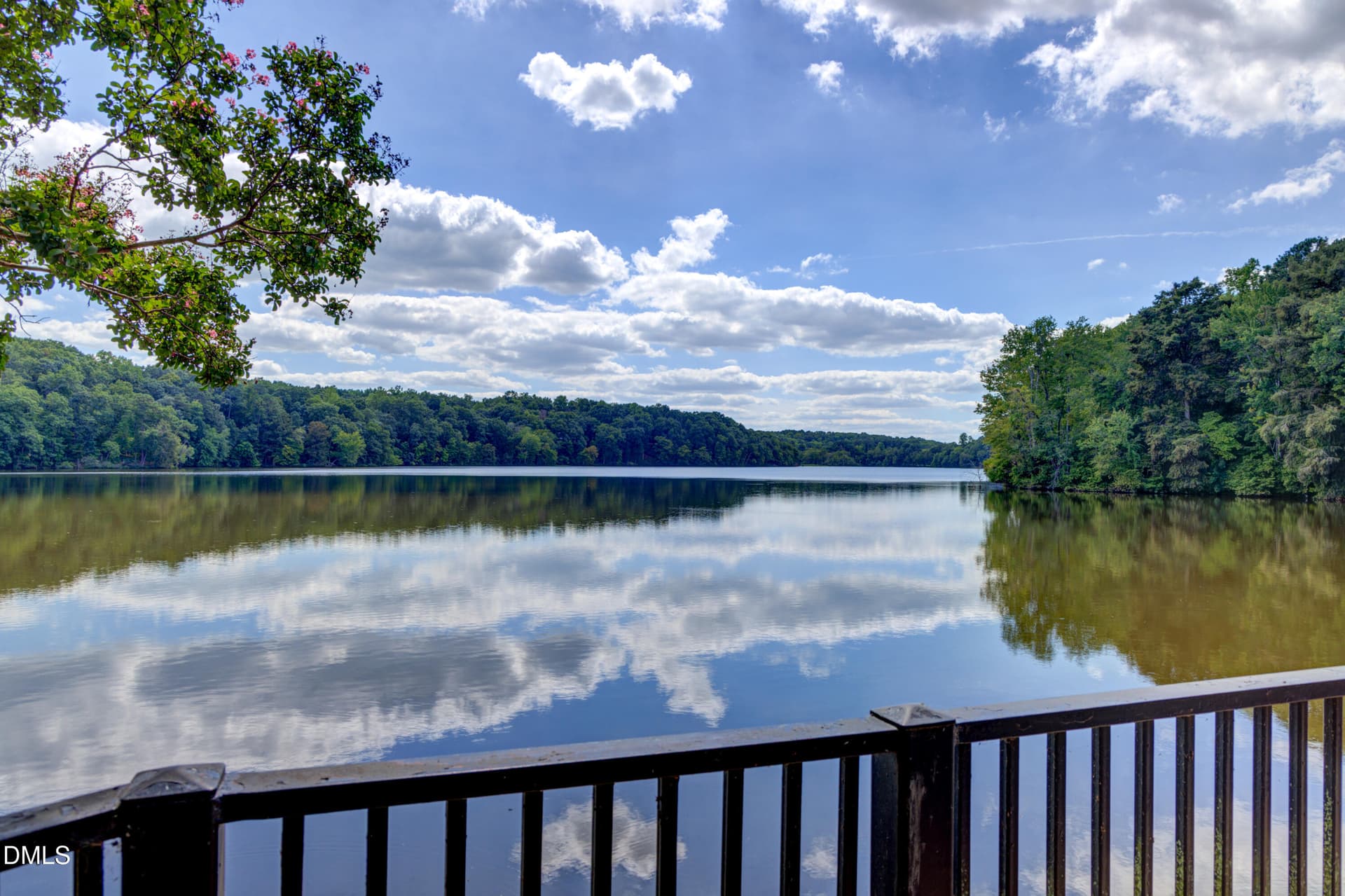 4332 Basal Creek Lane-6 - 4332 Basal Creek Lane, Fuquay Varina, NC 27526