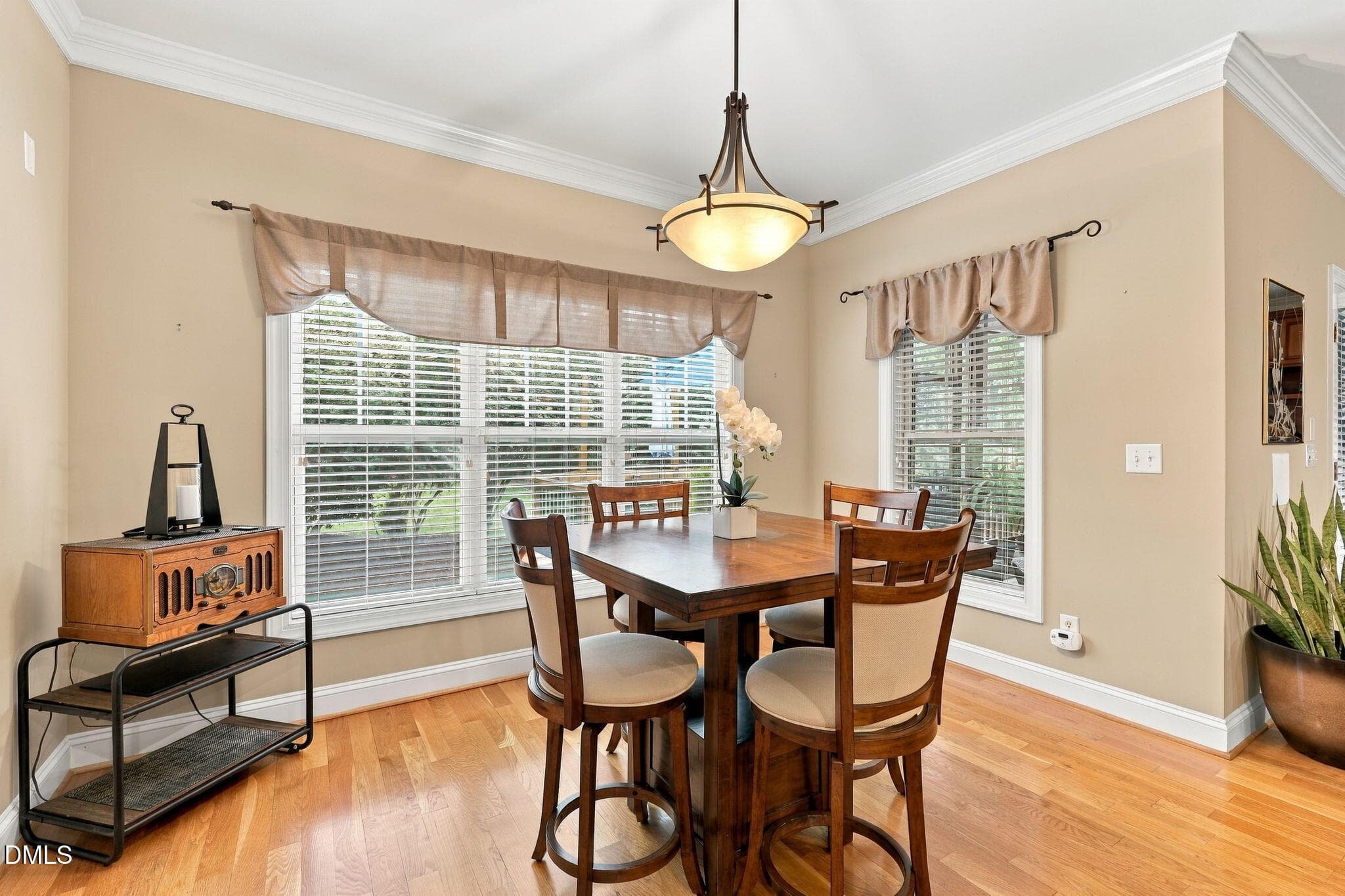 22-web-or-mls-IMG_0680 - 1209 Shining Water Lane, Raleigh, NC 27614