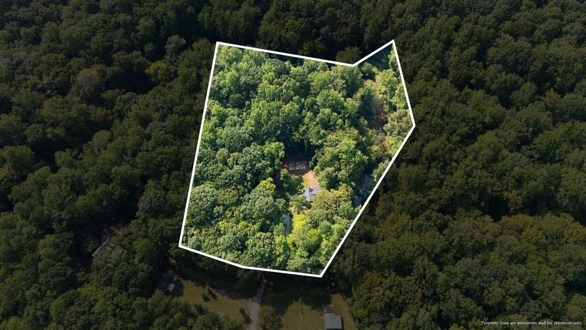 138-web-or-mls-LOT 3 PL.jpg - 4592 Boogaboo Trail, Rougemont, NC 27572