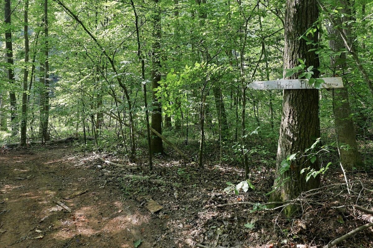 109-web-or-mls-IMG_1347.jpg - 4592 Boogaboo Trail, Rougemont, NC 27572