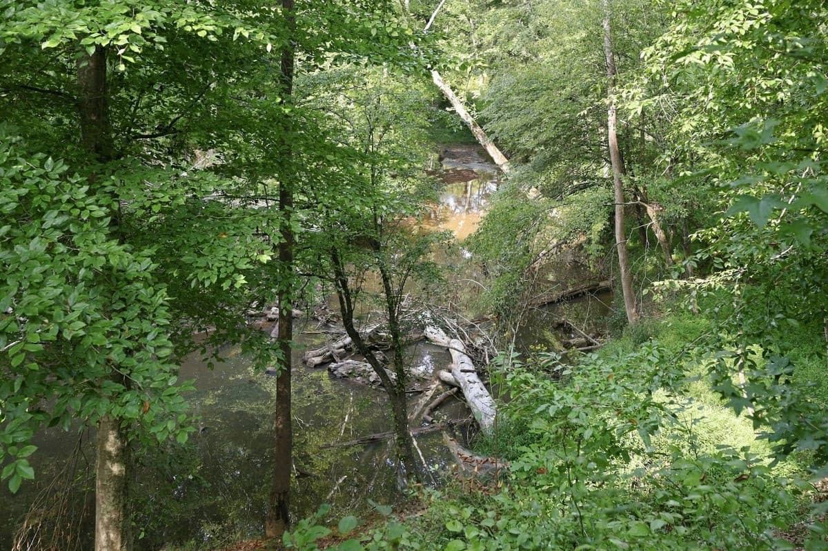 95-web-or-mls-IMG_1298.jpg - 4592 Boogaboo Trail, Rougemont, NC 27572