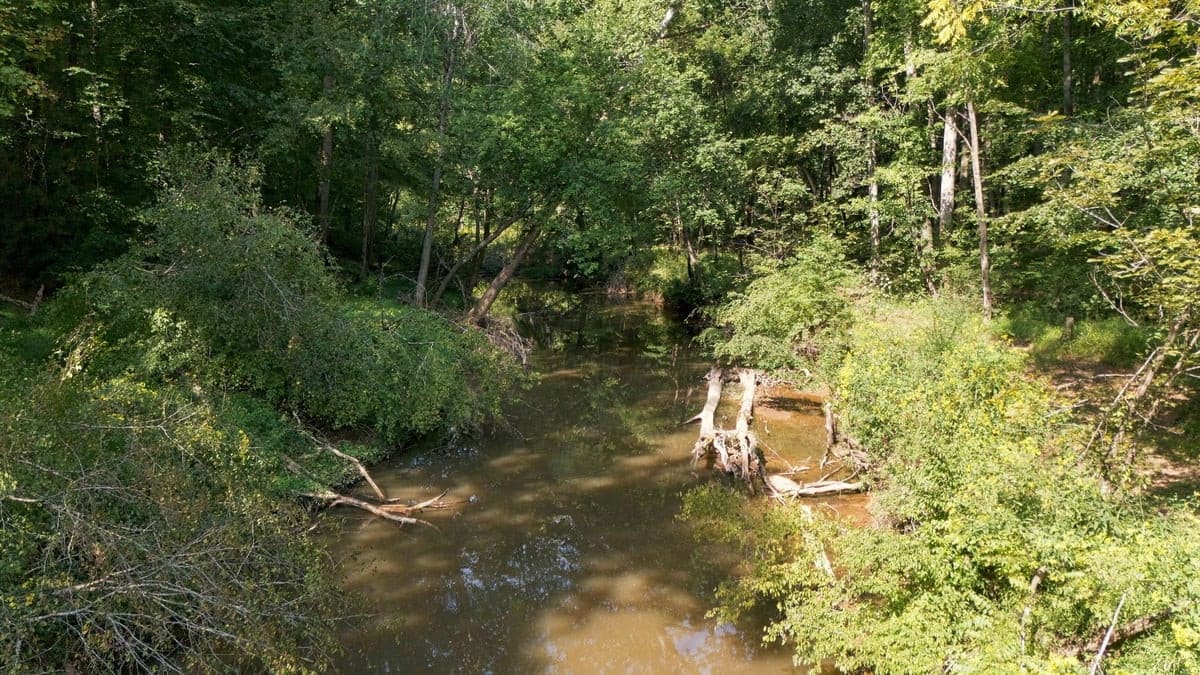 Photo 42 - 4592 Boogaboo Trail, Rougemont, NC 27572