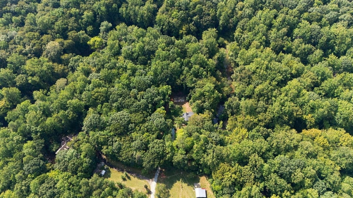 Photo 44 - 4592 Boogaboo Trail, Rougemont, NC 27572