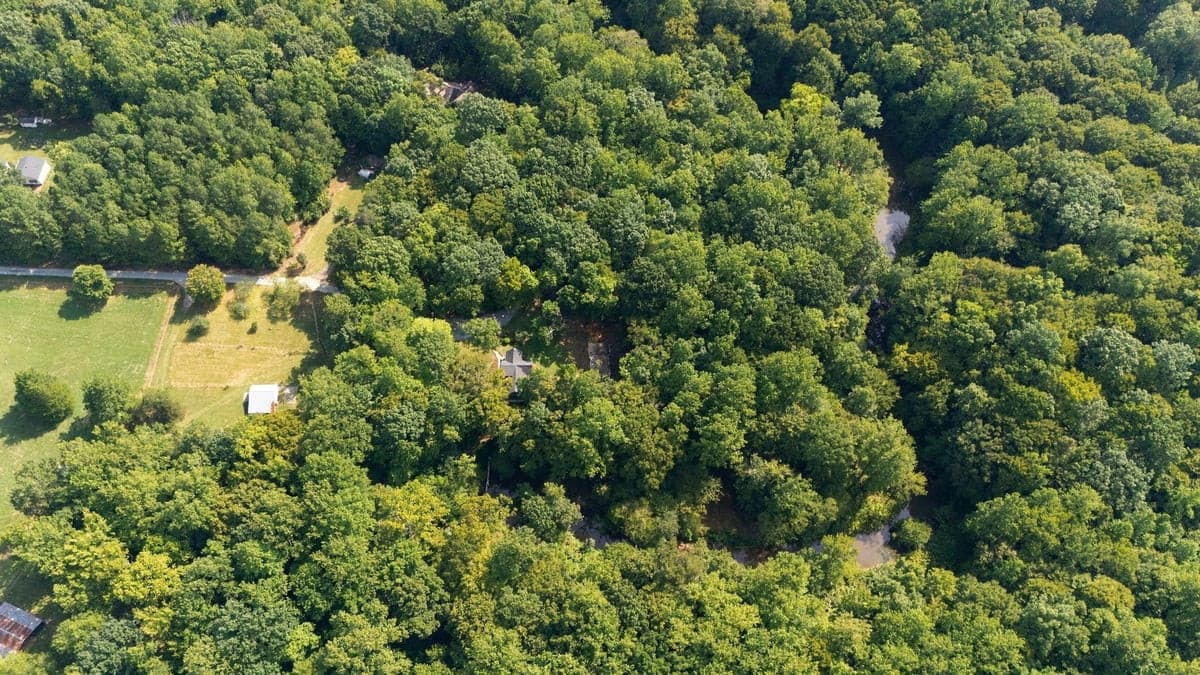Photo 45 - 4592 Boogaboo Trail, Rougemont, NC 27572
