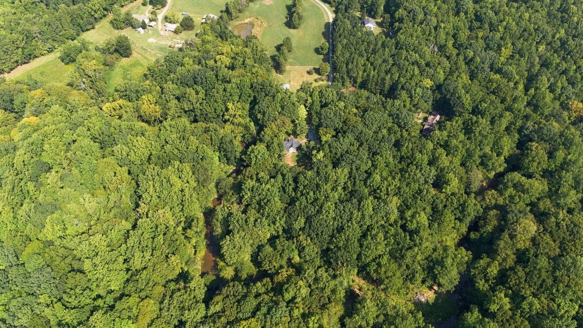 Photo 46 - 4592 Boogaboo Trail, Rougemont, NC 27572