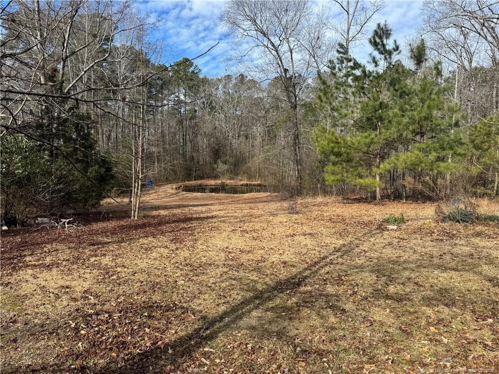 Photo 4 - 2017 Hwy 401 Business, Raeford, NC 28376, Raeford