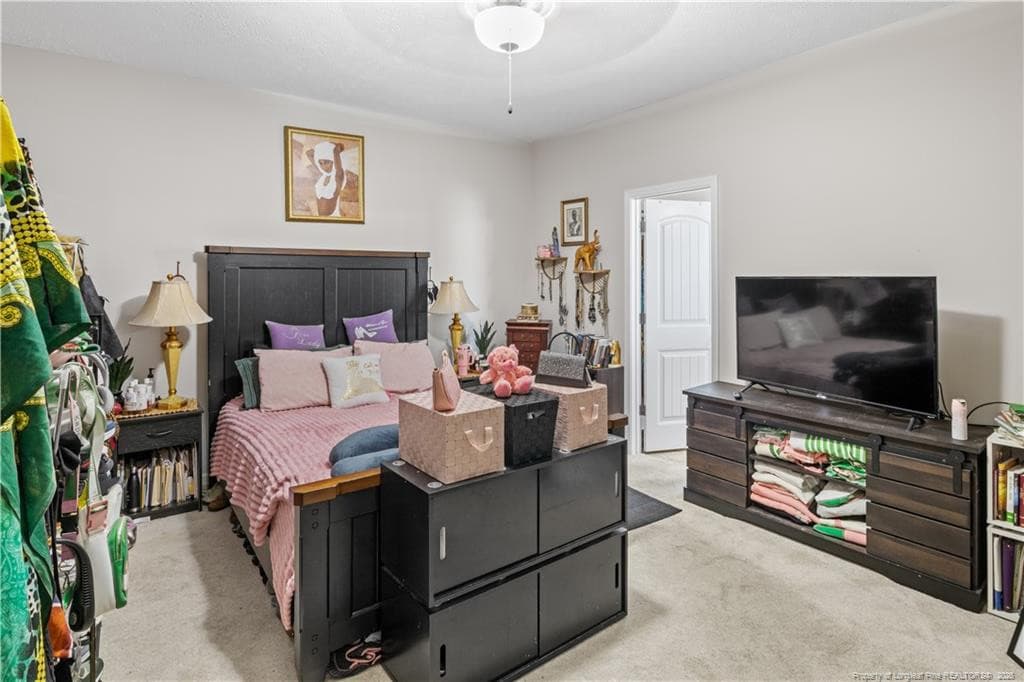Photo 11 - 115 Folly Court, Linden, NC 28356
