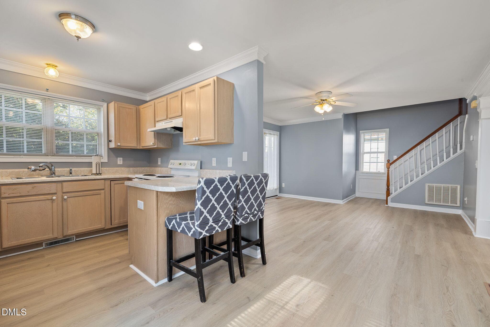 22-web-or-mls-DX3A6361 - 1508 Entheos Lane, Raleigh, NC 27610