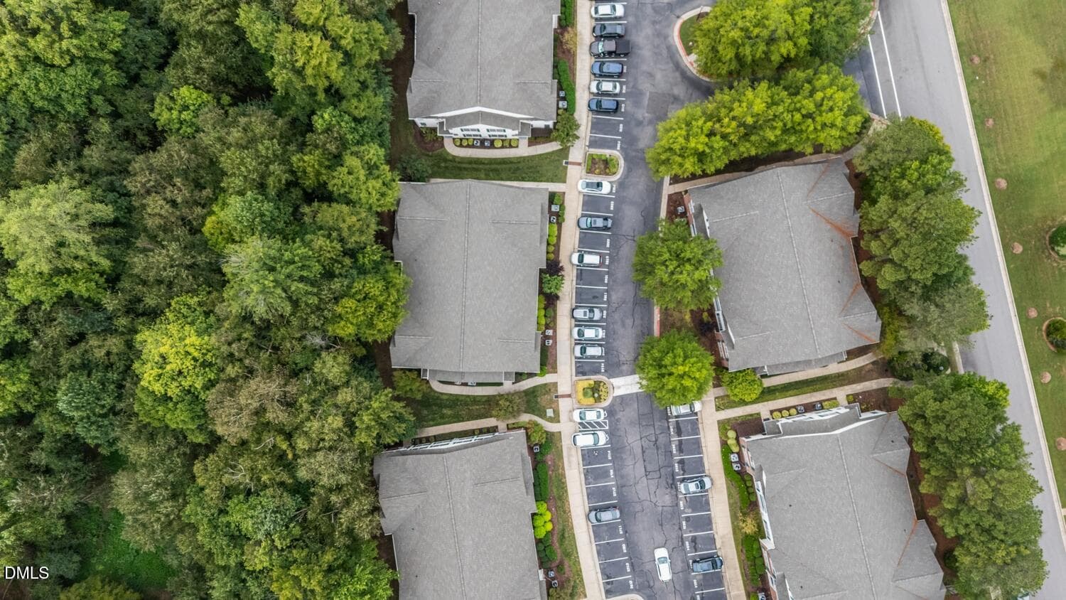 Neighborhood & Tree Canopy - 2923 Kudrow Lane, Morrisville, NC 27560, Morrisville
