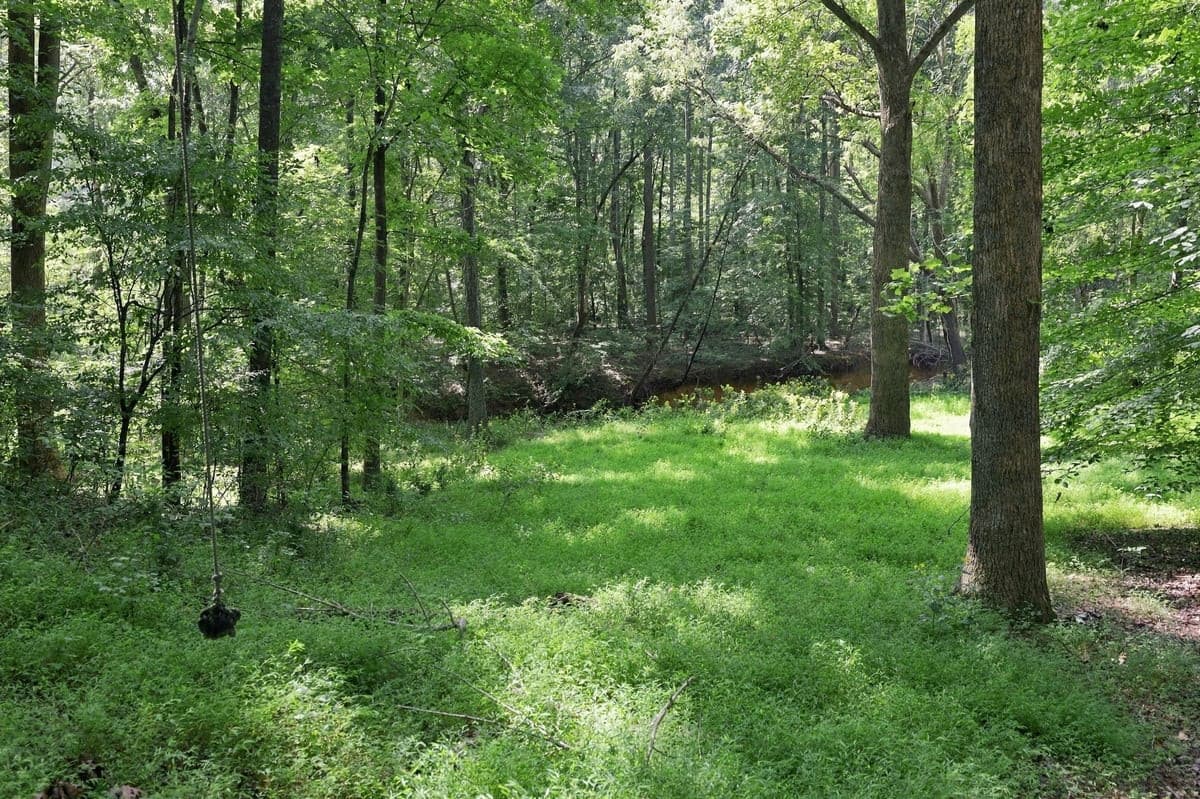 127-web-or-mls-IMG_1392.jpg - Lot 2 Boogaboo Trail, Rougemont, NC 27572