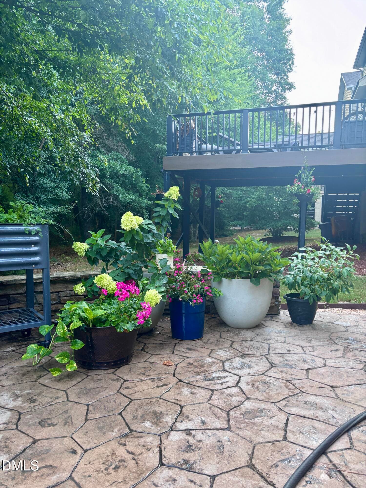 IMG_0105 - 5441 Moneta Lane, Apex, NC 27539