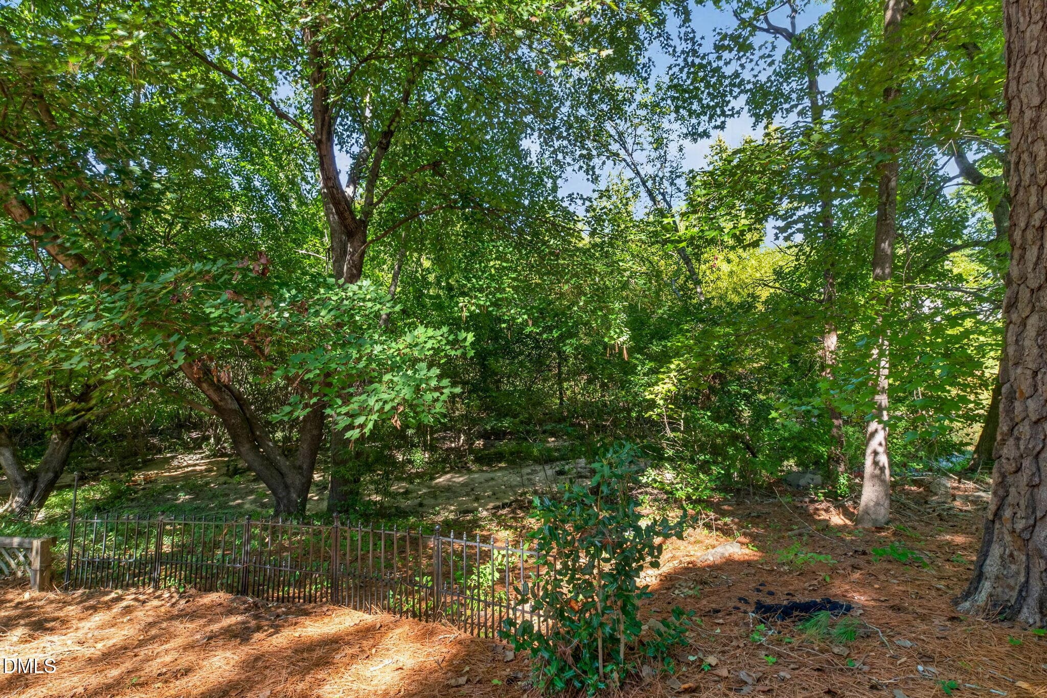 Back Yard - 5405 Green Feather Lane, Raleigh, NC 27604