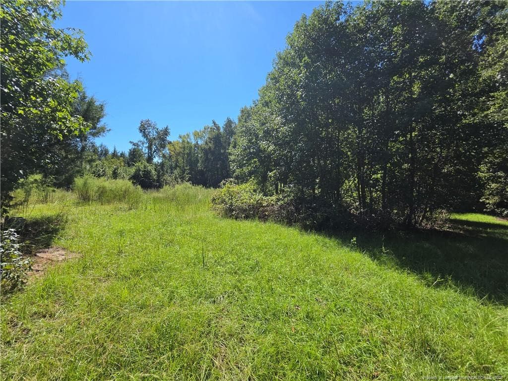 Photo 4 - 9685 Giles Road, Linden, NC 28356