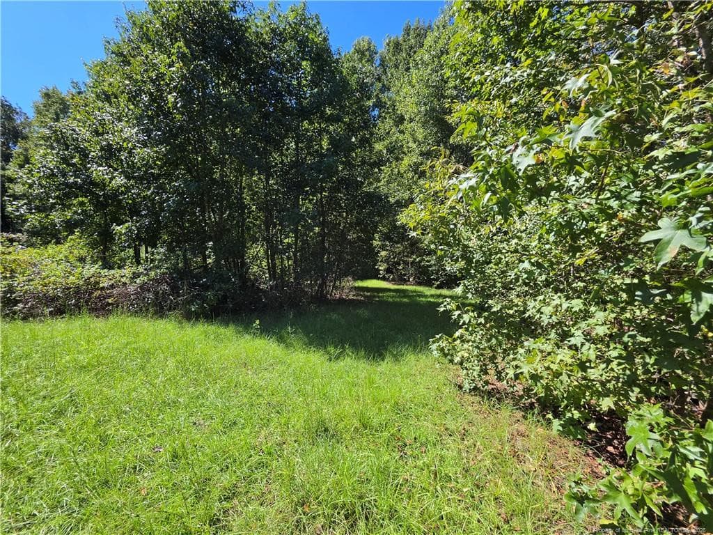 Photo 5 - 9685 Giles Road, Linden, NC 28356