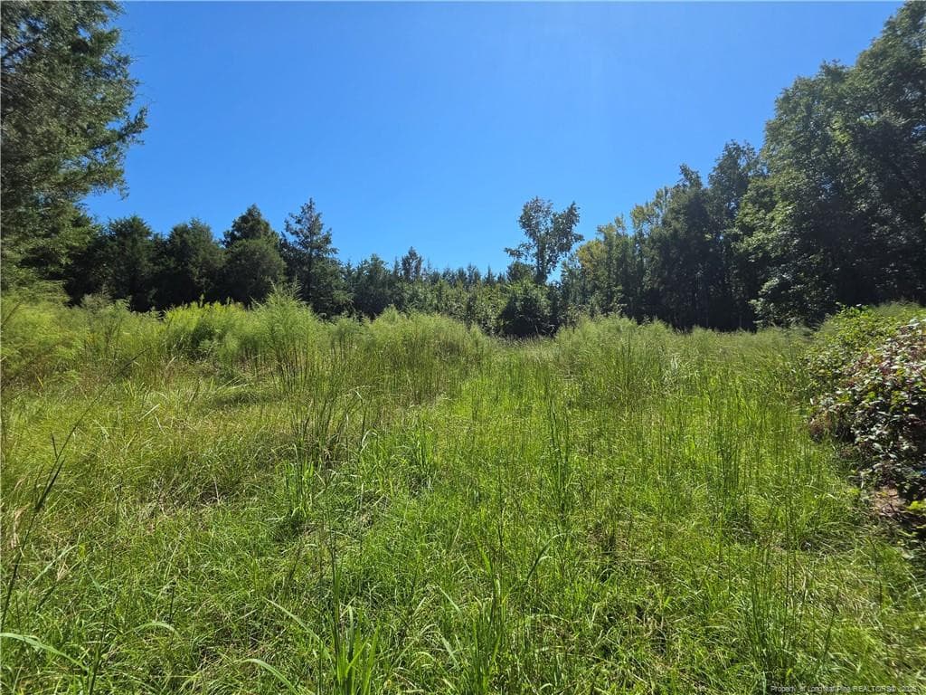 Photo 9 - 9685 Giles Road, Linden, NC 28356