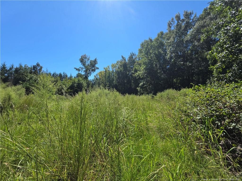 Photo 10 - 9685 Giles Road, Linden, NC 28356