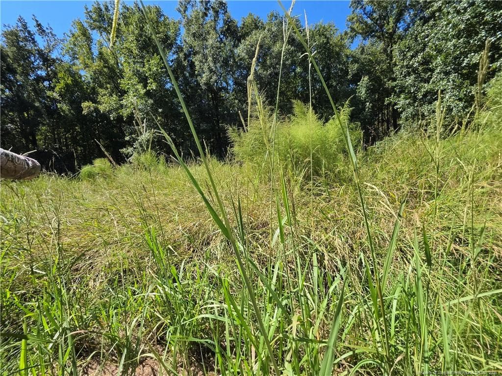 Photo 11 - 9685 Giles Road, Linden, NC 28356