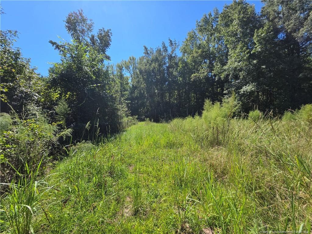 Photo 12 - 9685 Giles Road, Linden, NC 28356