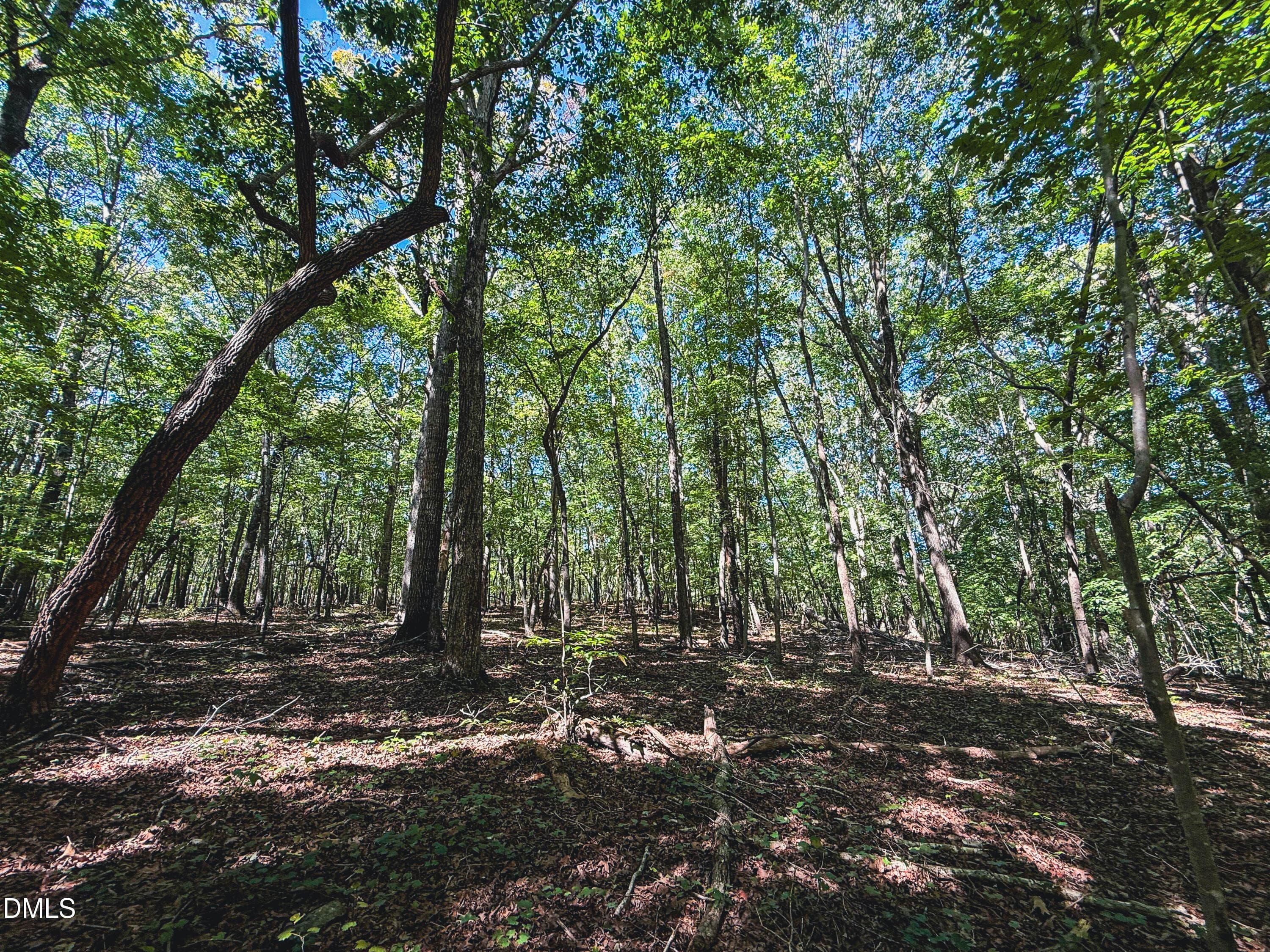 0 Ralph Moore Road, Bear Creek, NC 27207
