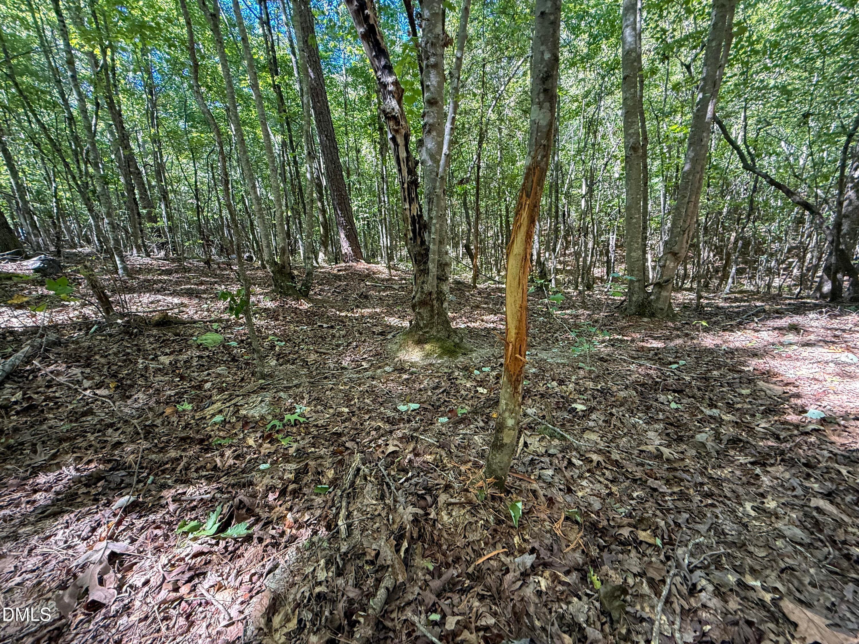 Deal Chatham Ralph Moore Rd (4) - 0 Ralph Moore Road, Bear Creek, NC 27207