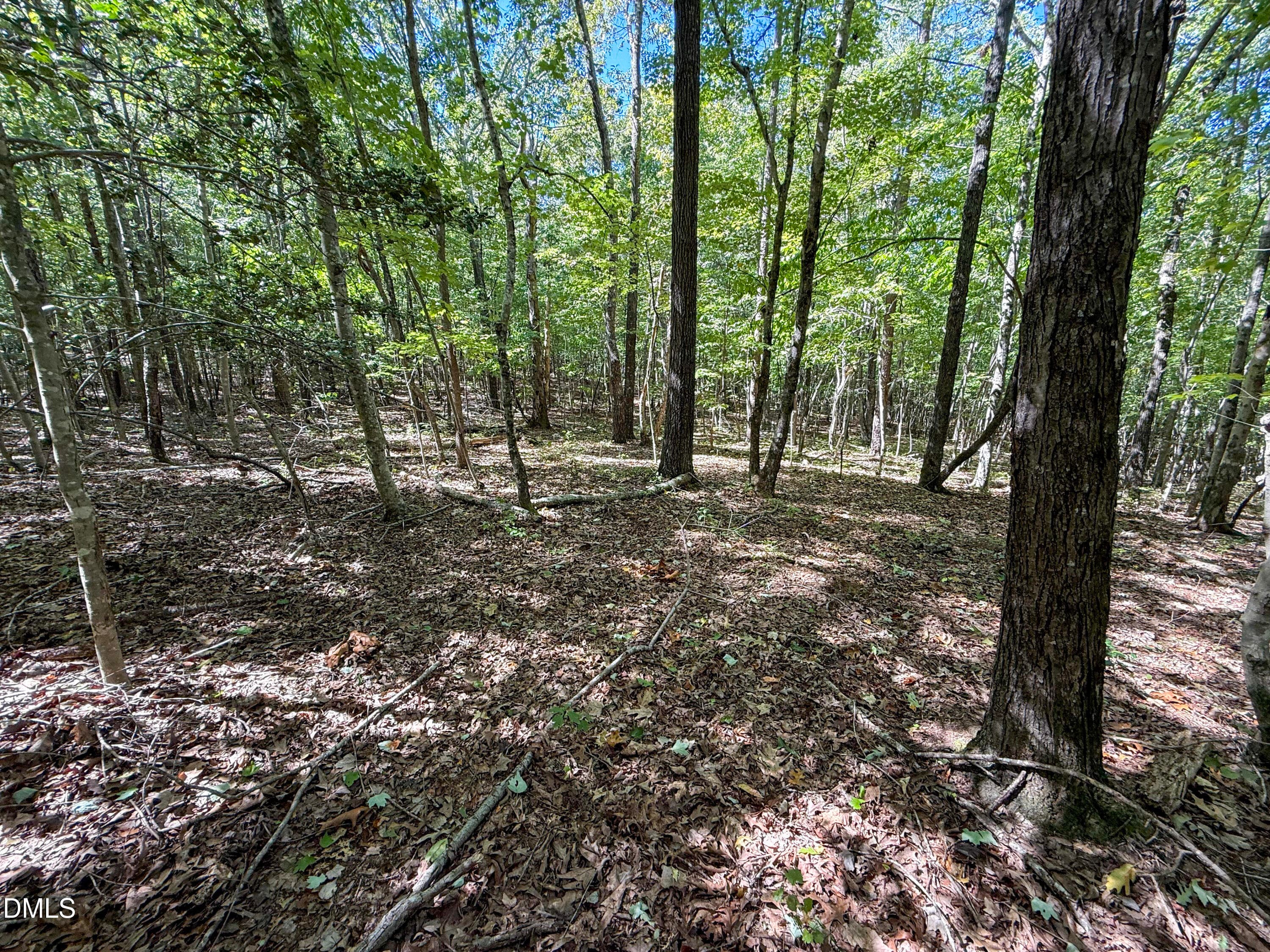Deal Chatham Ralph Moore Rd (6) - 0 Ralph Moore Road, Bear Creek, NC 27207