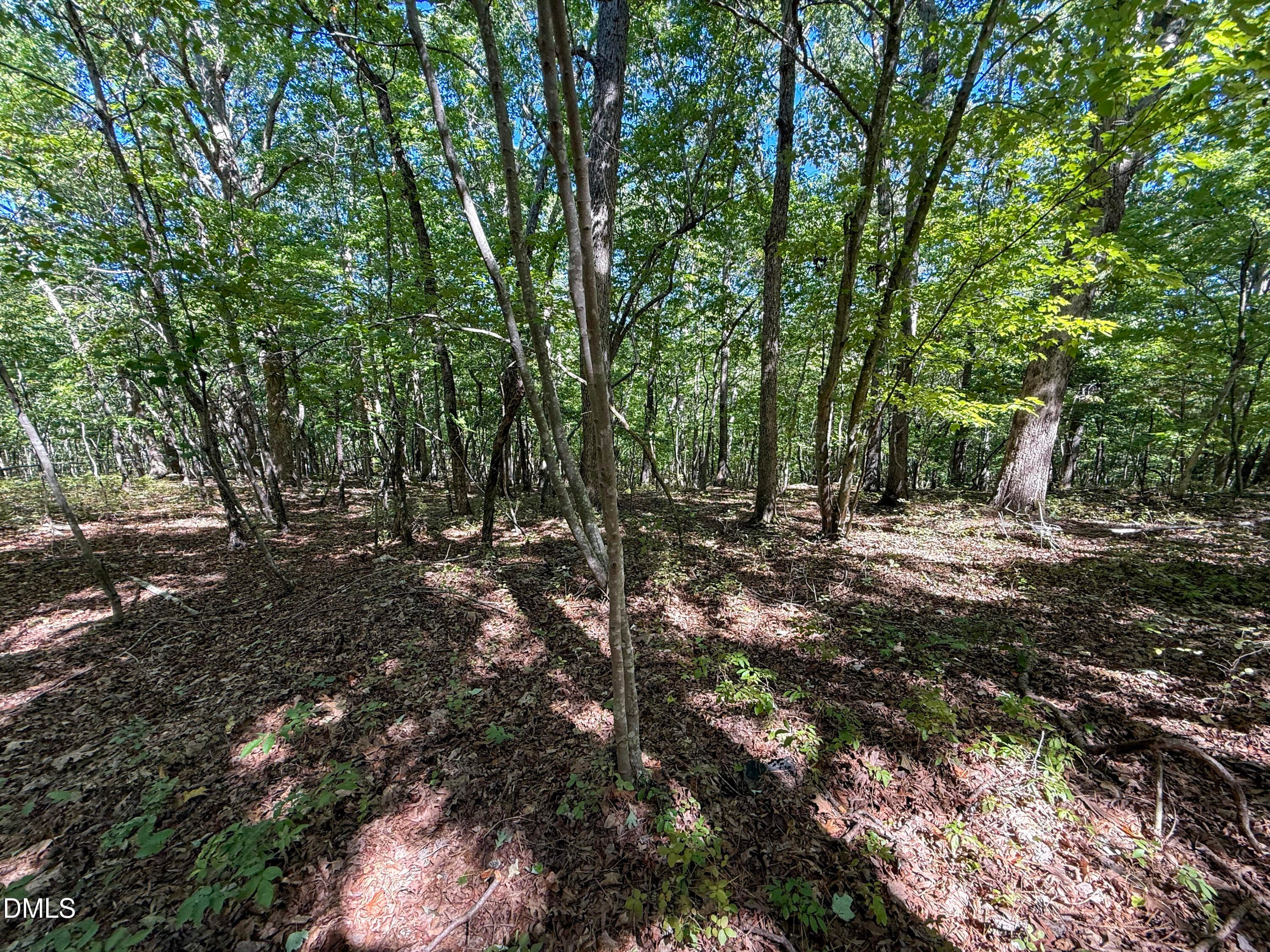 Deal Chatham Ralph Moore Rd (7) - 0 Ralph Moore Road, Bear Creek, NC 27207