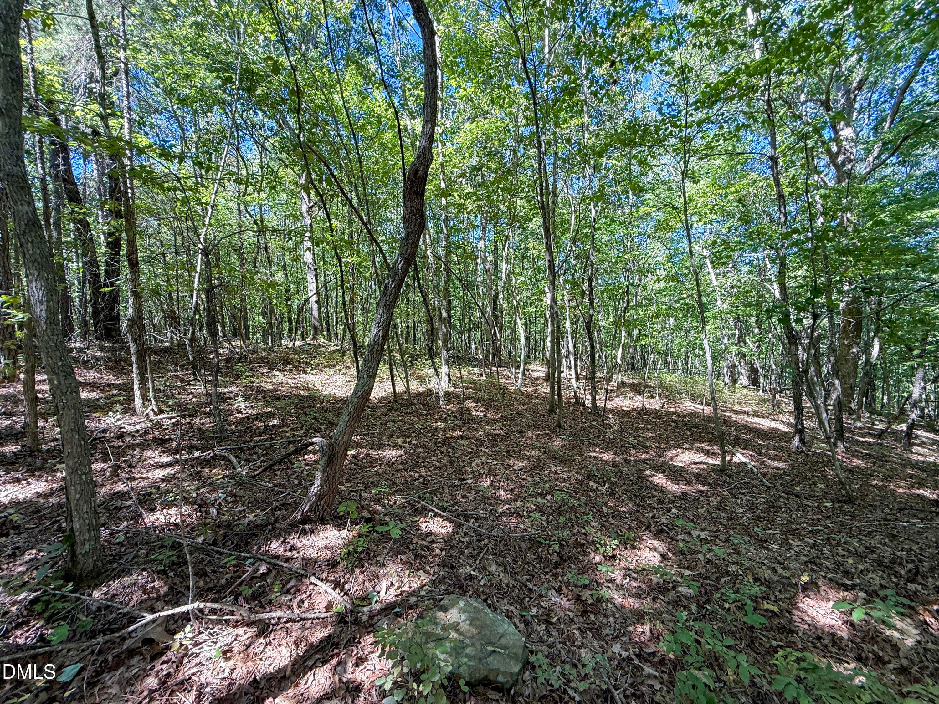 Deal Chatham Ralph Moore Rd (8) - 0 Ralph Moore Road, Bear Creek, NC 27207