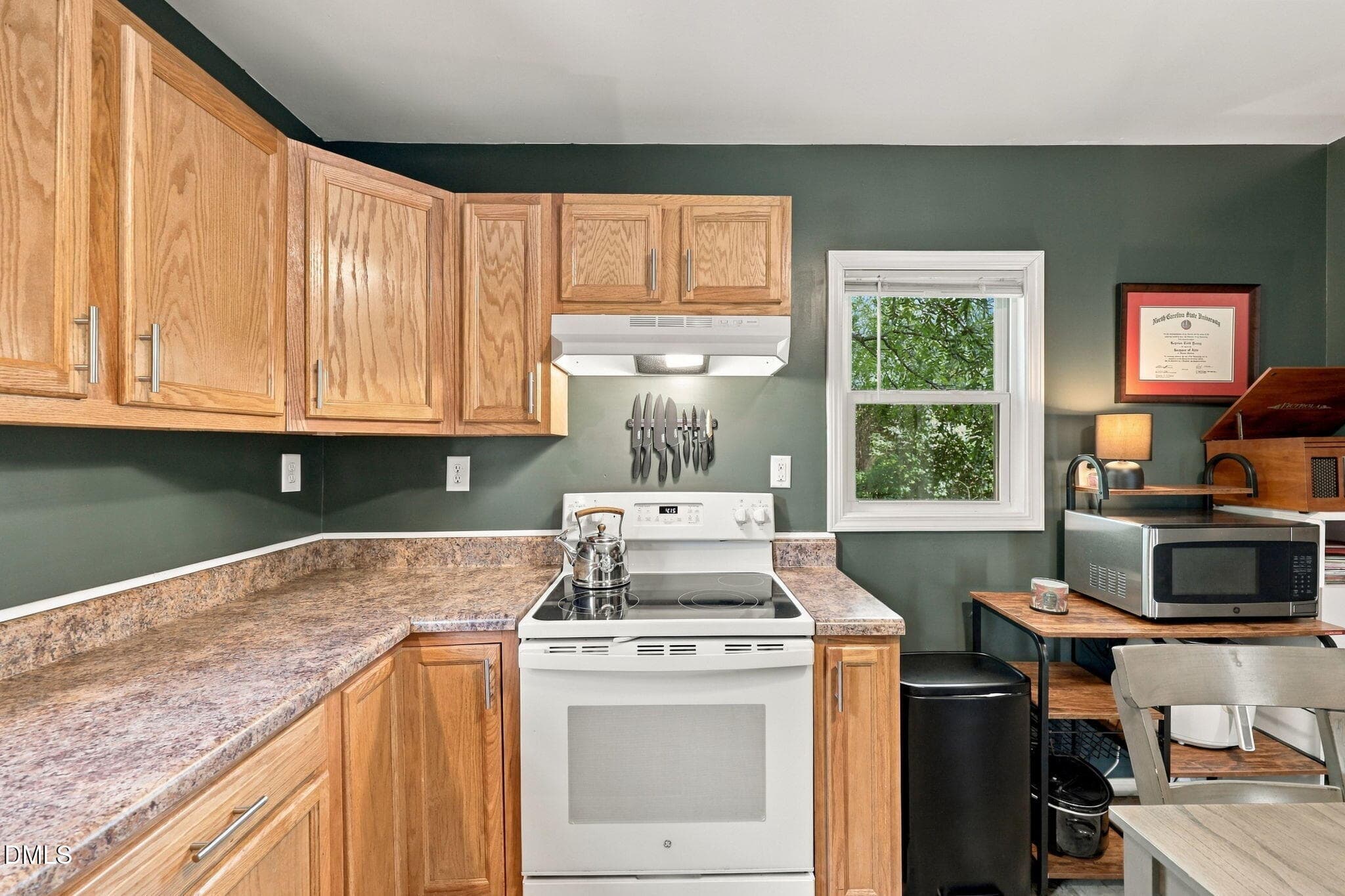 21-web-or-mls-IMG_8756 - 507 River Street, Haw River, NC 27258