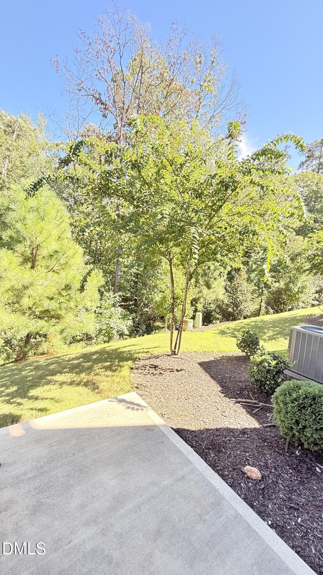 Rear Yard - 835 Oak Center Drive, Raleigh, NC 27610