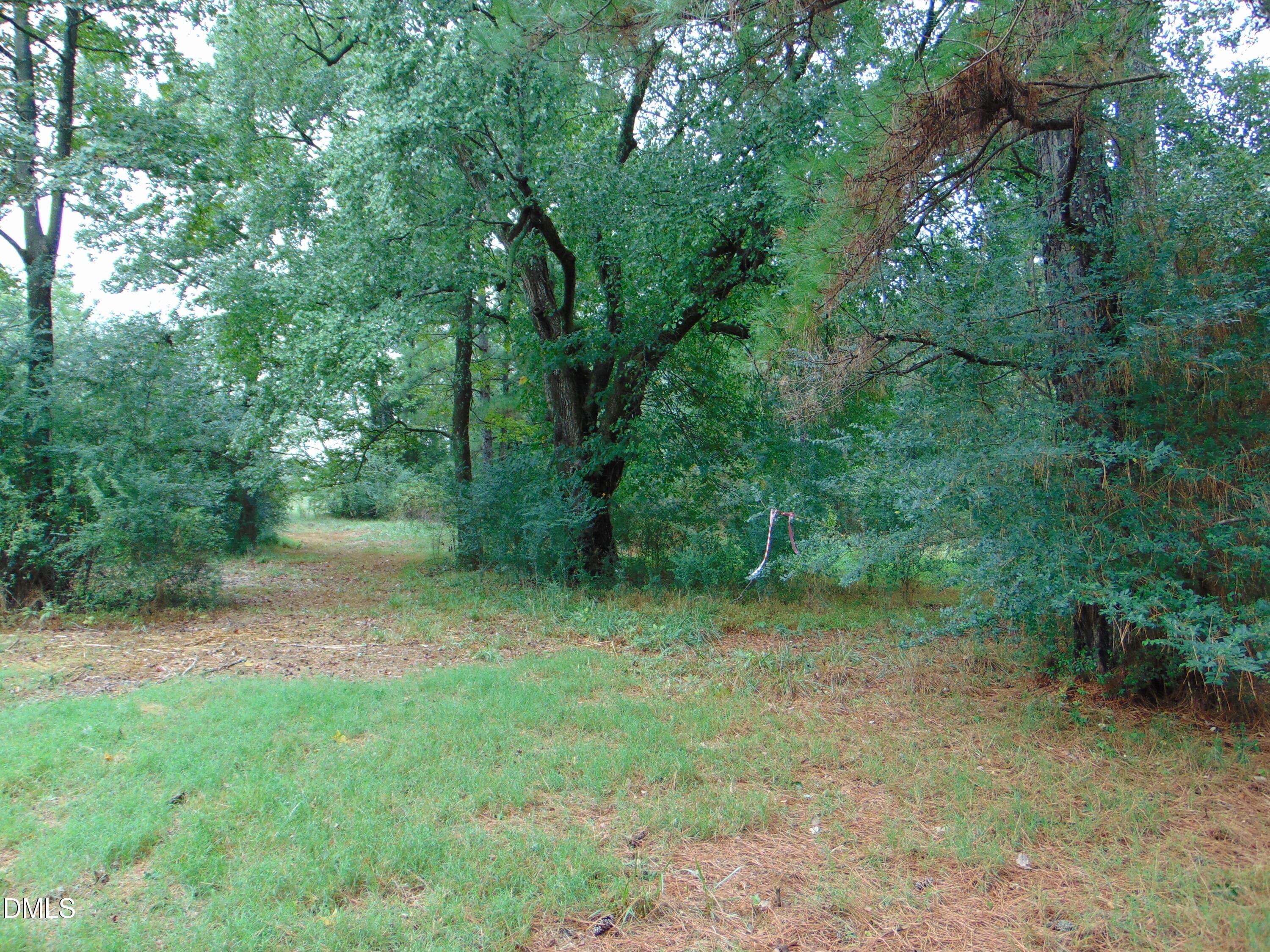 DSC01614 - 0 County Home Rd., Yanceyville, NC 27379