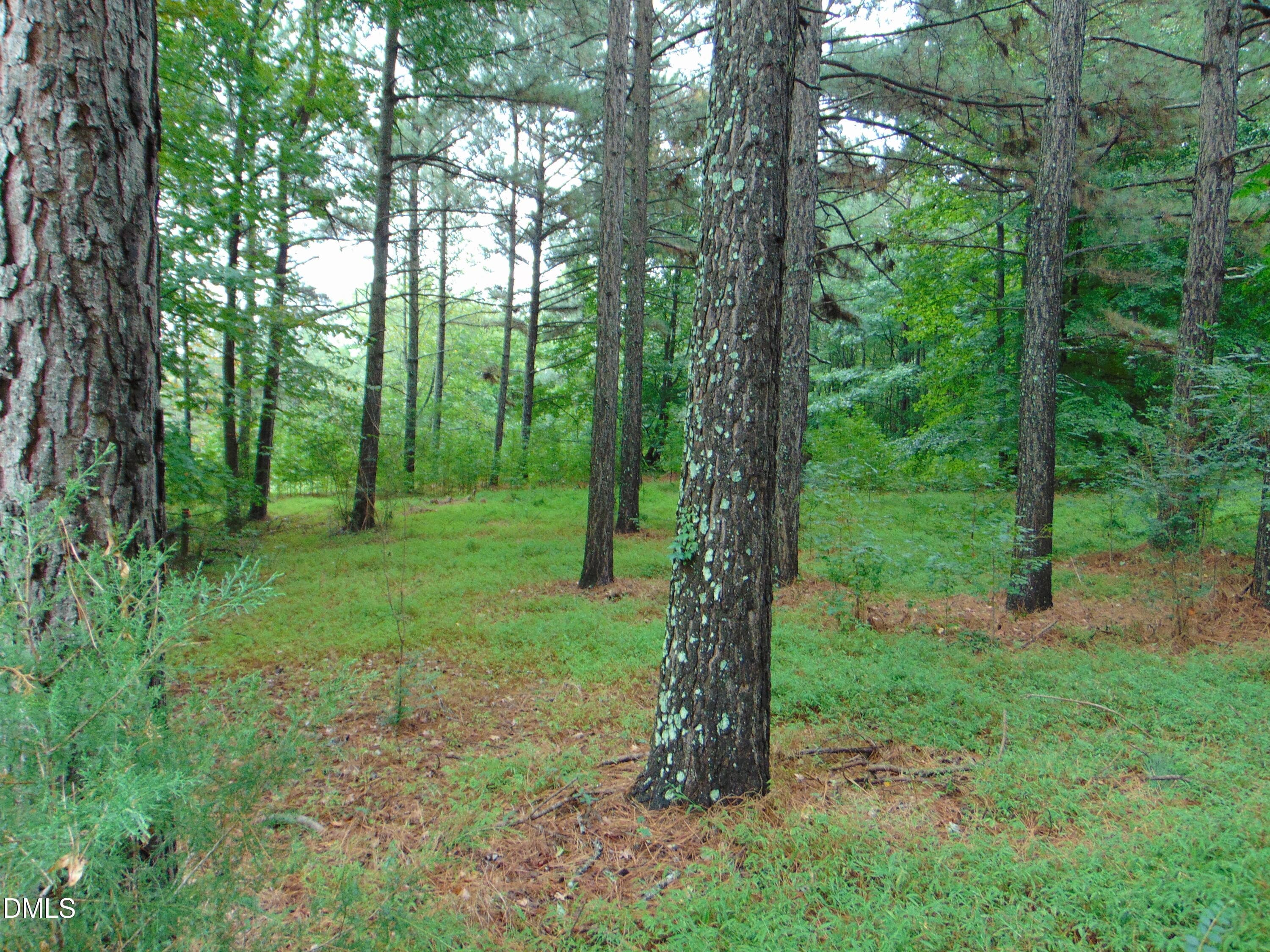 DSC01615 - 0 County Home Rd., Yanceyville, NC 27379
