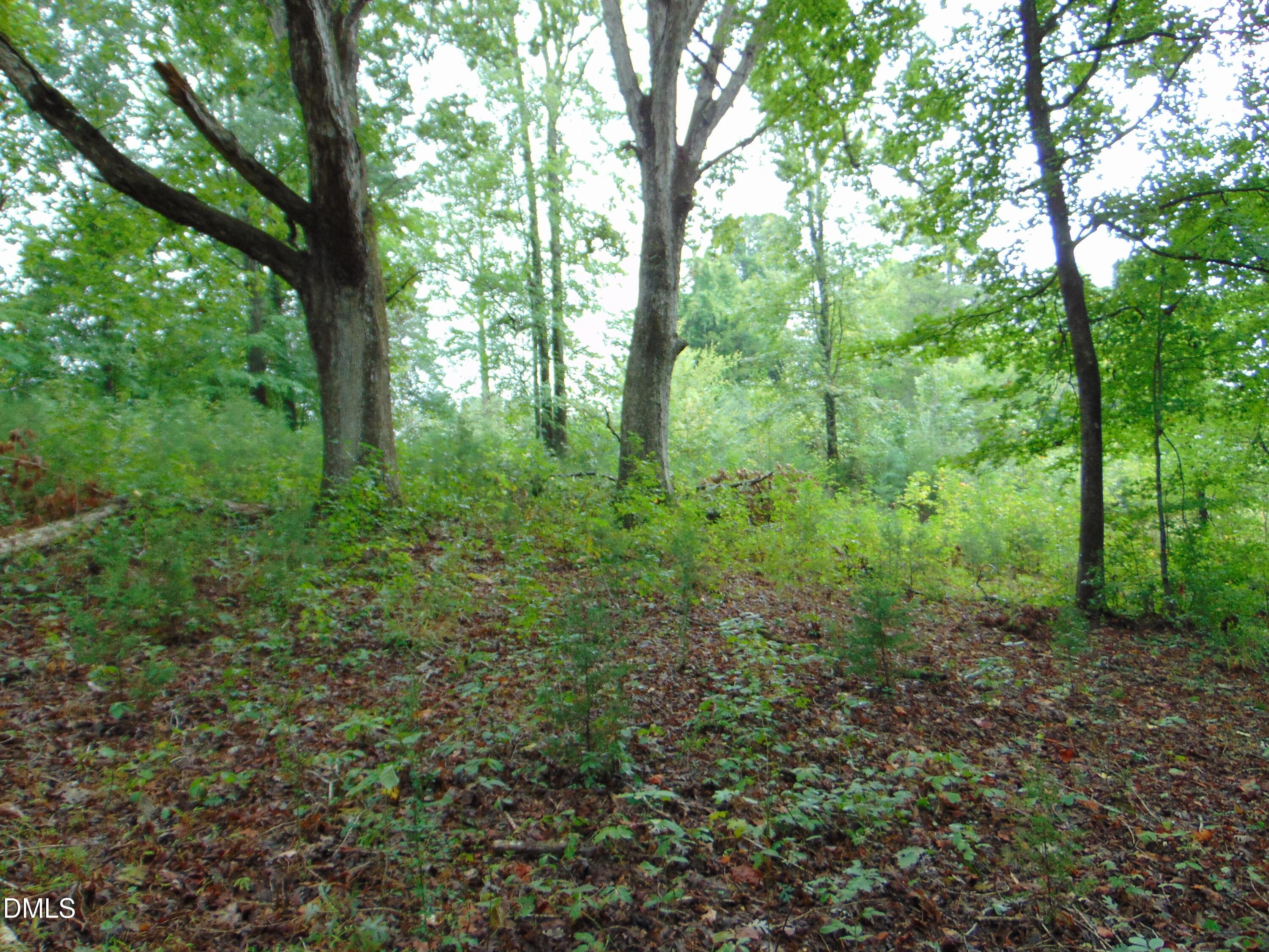 DSC01616 - 0 County Home Rd., Yanceyville, NC 27379