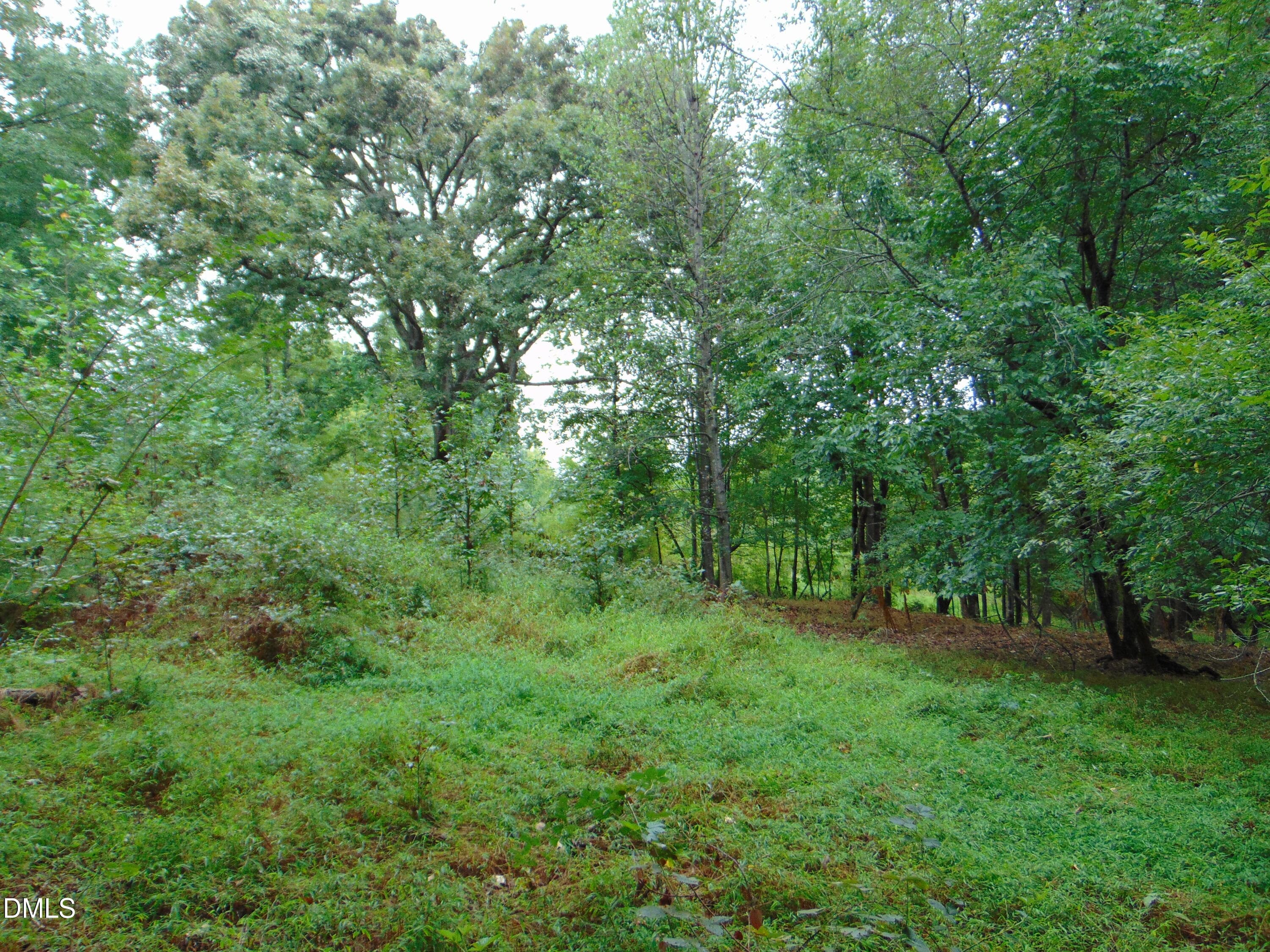 DSC01617 - 0 County Home Rd., Yanceyville, NC 27379