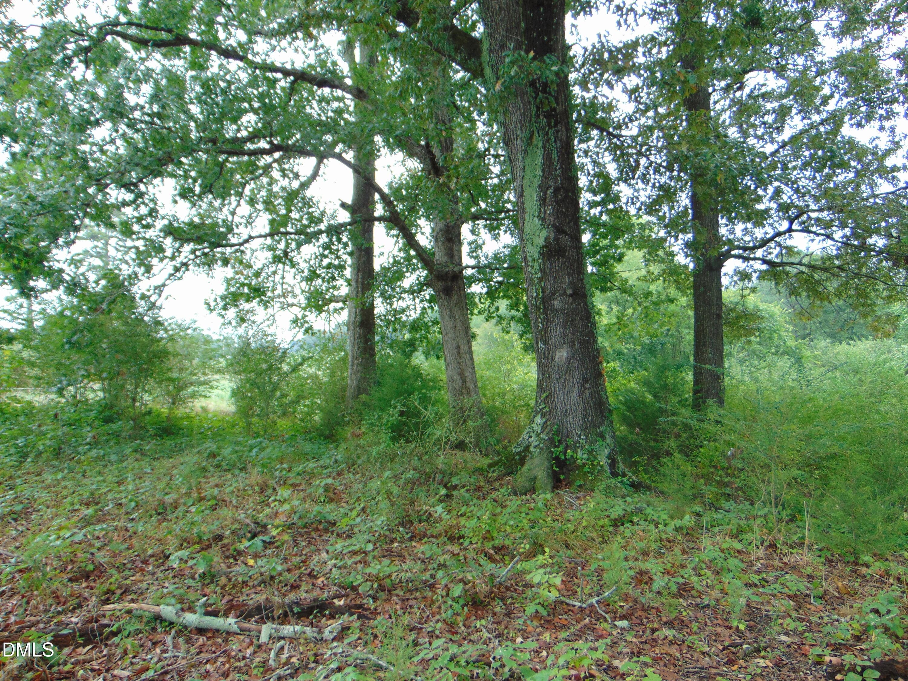 DSC01618 - 0 County Home Rd., Yanceyville, NC 27379