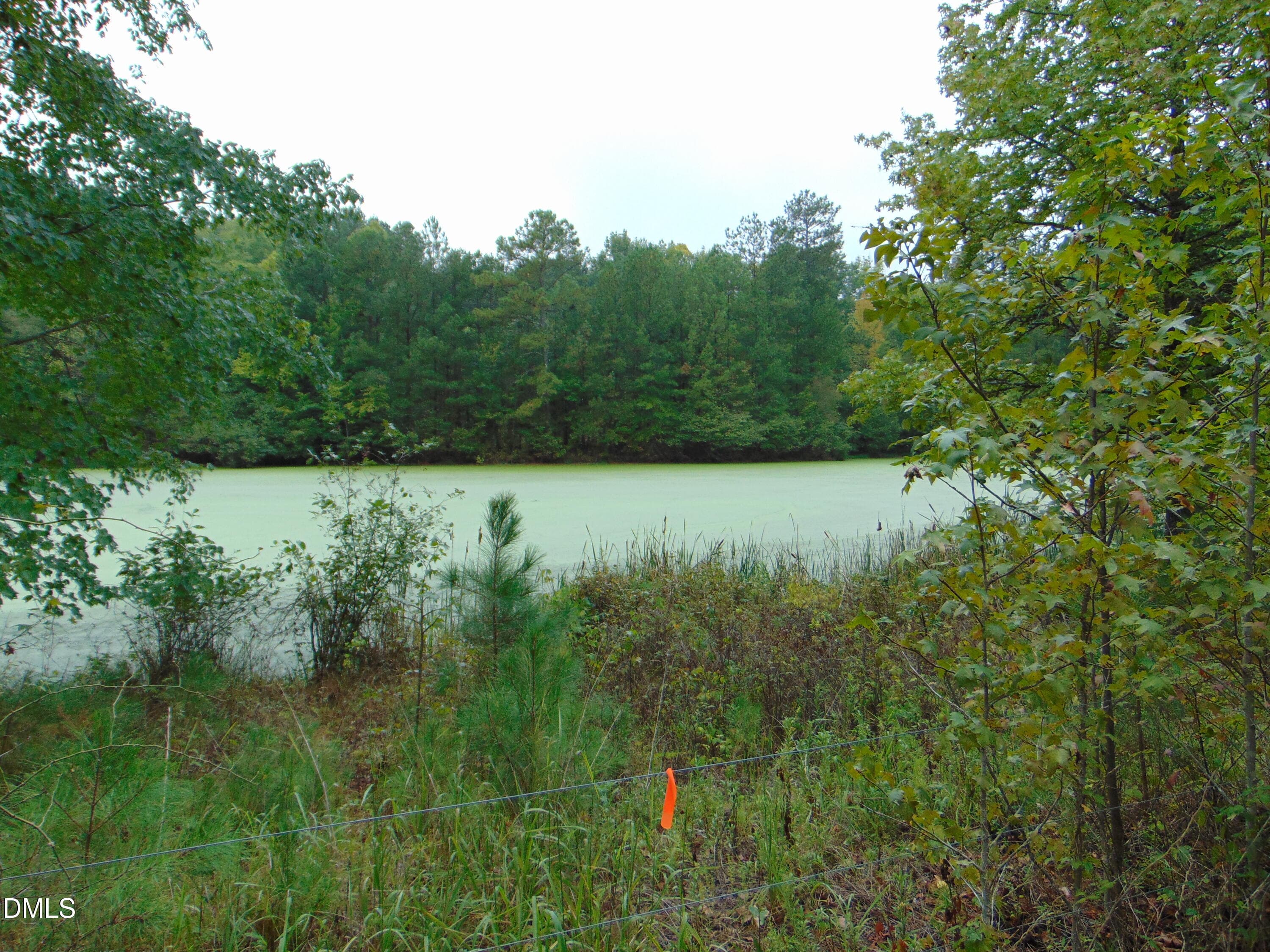 DSC01622 - 0 County Home Rd., Yanceyville, NC 27379